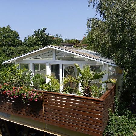 Greenhouse Just 15 Min From The Old Town 브라티슬라바 외부 사진